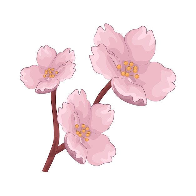 Vector illustration of cherry blossom