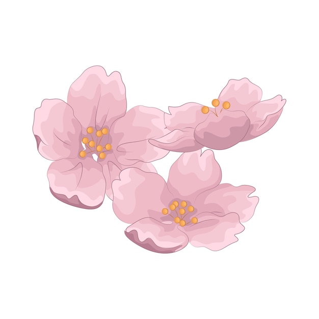 Vector illustration of cherry blossom