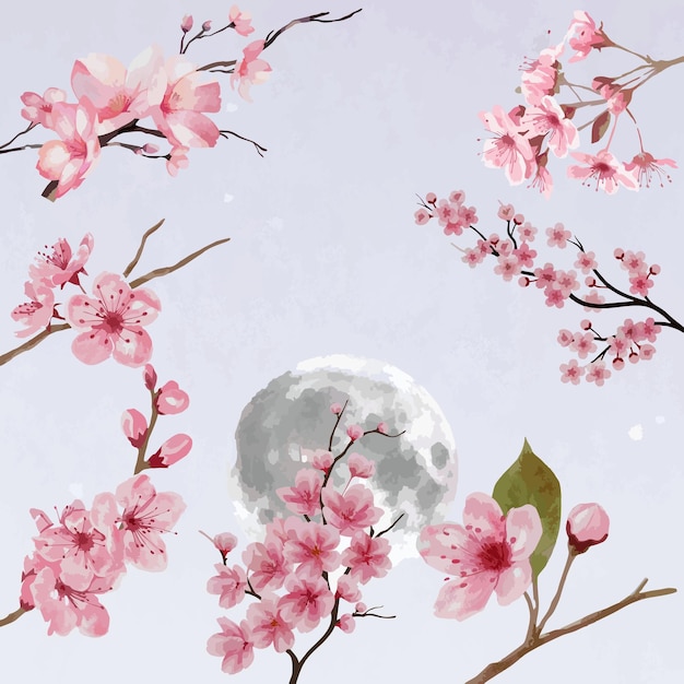illustration of cherry blossoms with a moon background