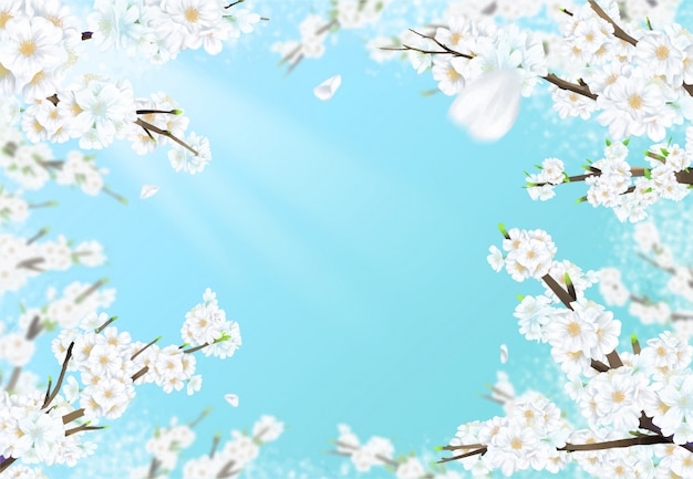 Vector illustration of a cherry tree in full bloom under a blue sky with sunlight.