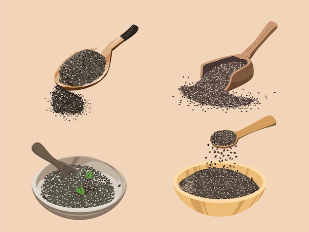 Vector illustration of chia seeds