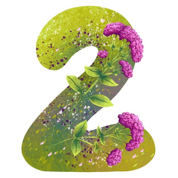 illustration for children numbers account with flowers and berries made in procreate figure 2
