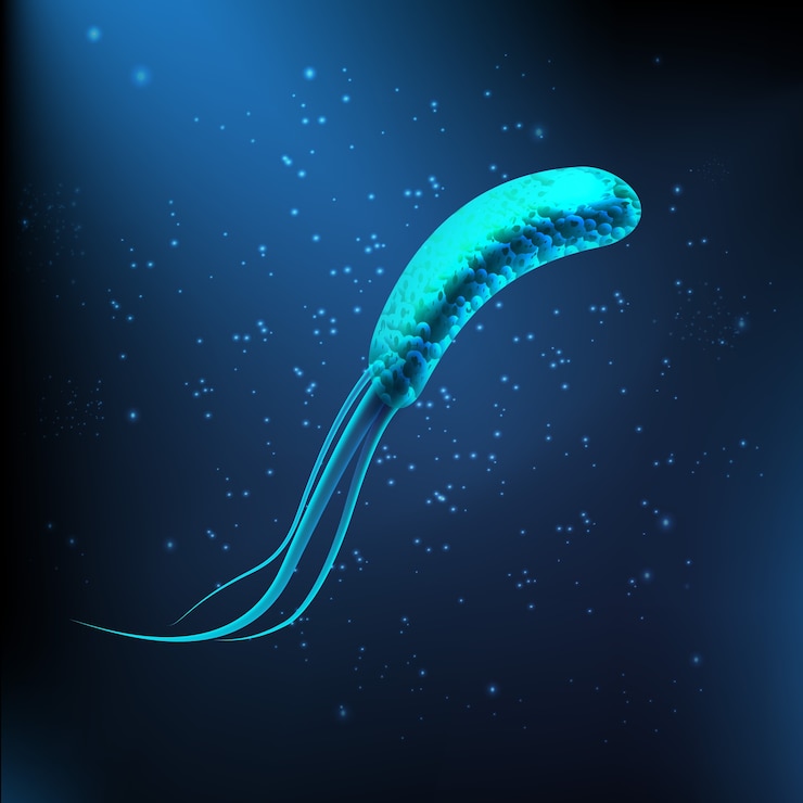 Vector illustration of close up pathogenic