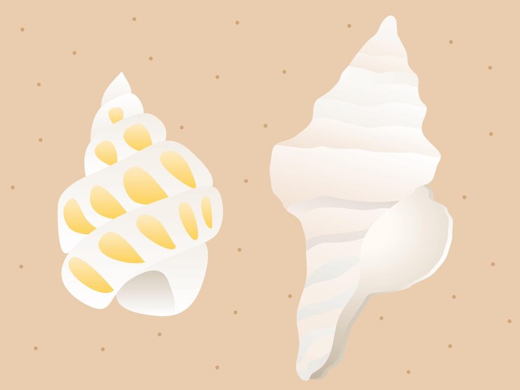 Vector illustration of the conch on the sandy beach