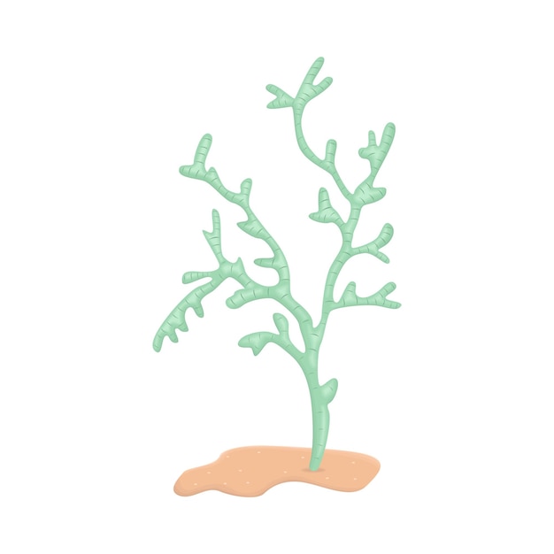 Vector illustration of coral