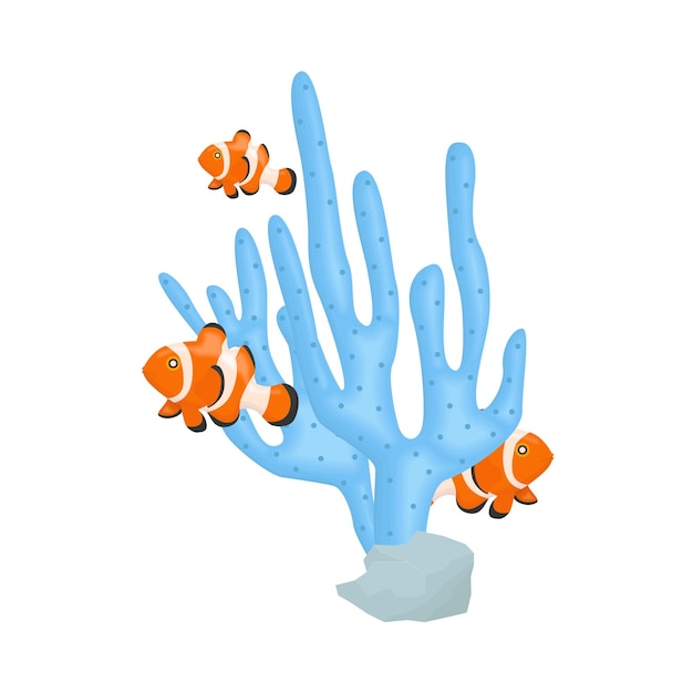 Illustration of coral