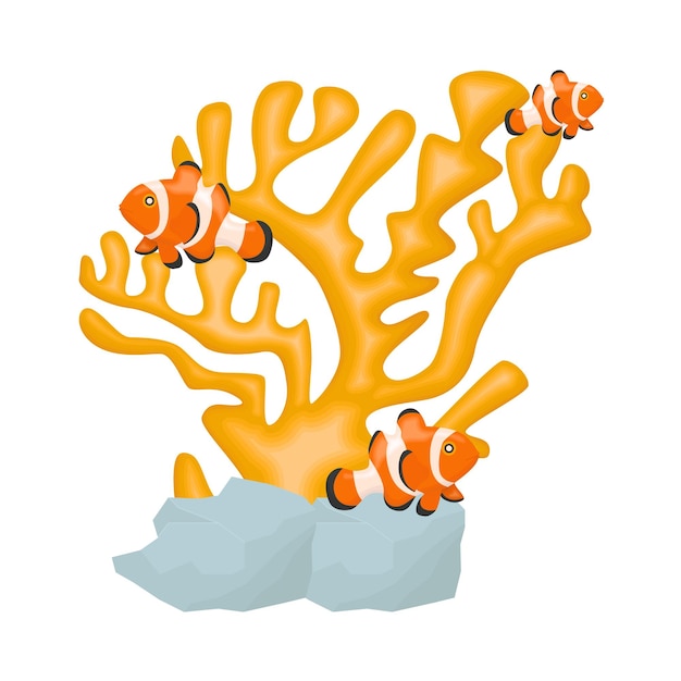 Illustration of coral