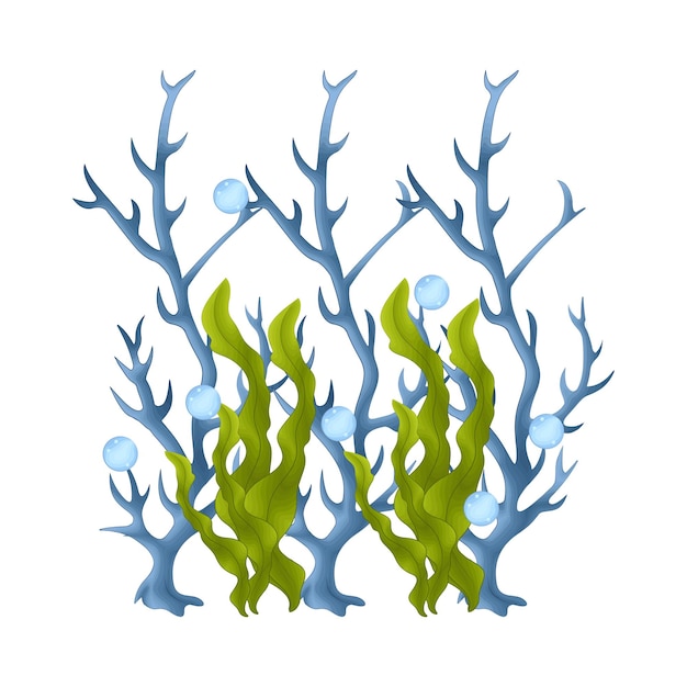 Vector illustration of coral