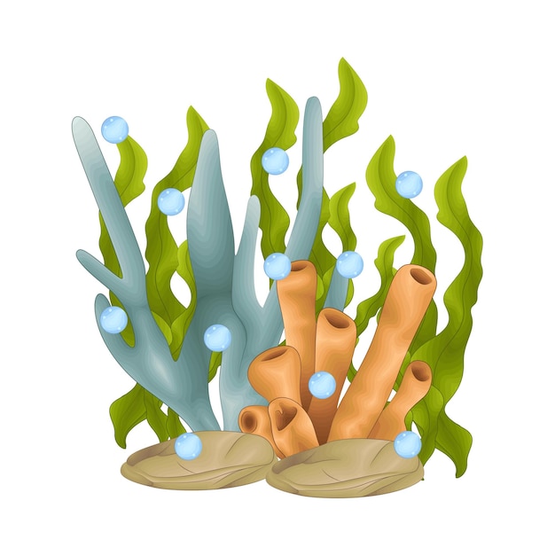 Vector illustration of coral