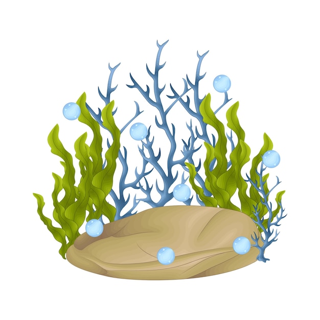 Vettore illustrazione di corallo