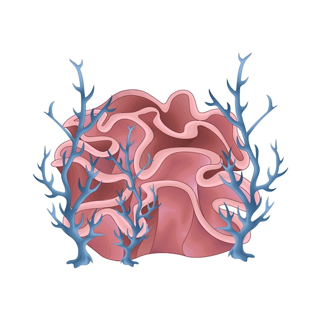 Illustration of coral