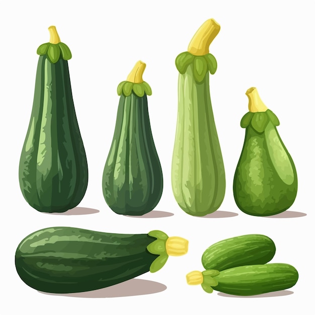 Illustration of a Courgette with a wooden background