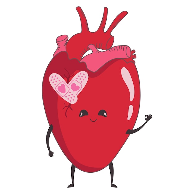 Vector illustration of a cute anatomical heart with a face with a bandaidcharacter in love broken heart