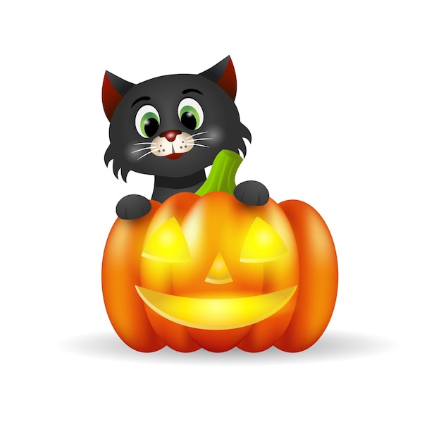 Illustration of a cute black cat with pumpkin