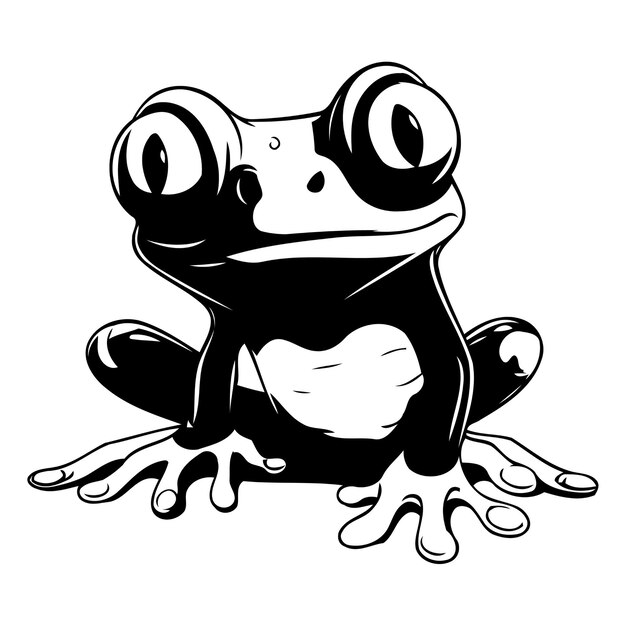 Vector illustration of a cute cartoon green frog on a white background