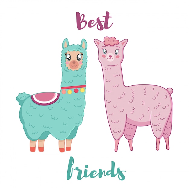 Illustration of cute fluffy cartoon llama and alpaca . best friends.