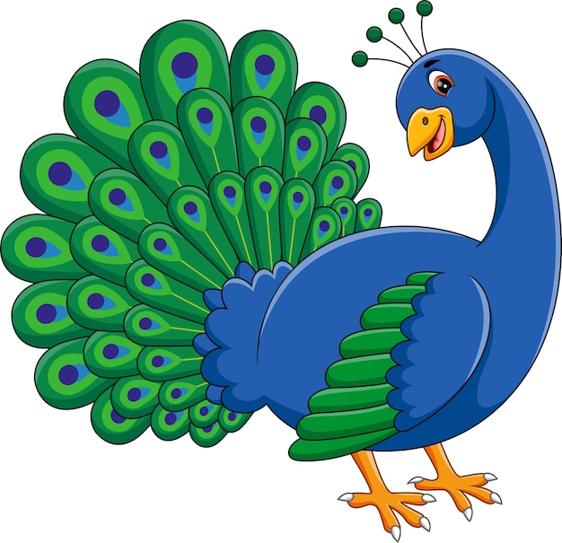 Vector illustration of cute peacock cartoon