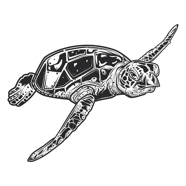 Illustration of cute turtle