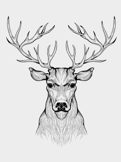 Illustration of deer