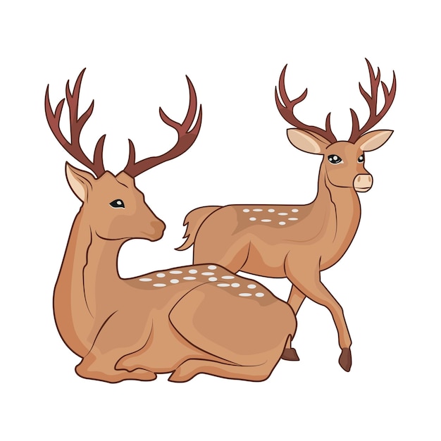 Vector illustration of deer