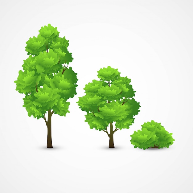 Vector illustration of different trees