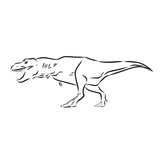 Illustrazione di dinosauro, disegno vettoriale, archeologia selvaggia