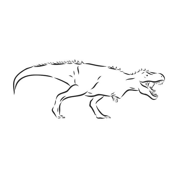 Illustration of dinosaur, vector sketch, wild archeology