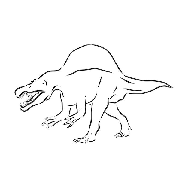 Illustration of dinosaurs, dinosaur vector sketch illustration