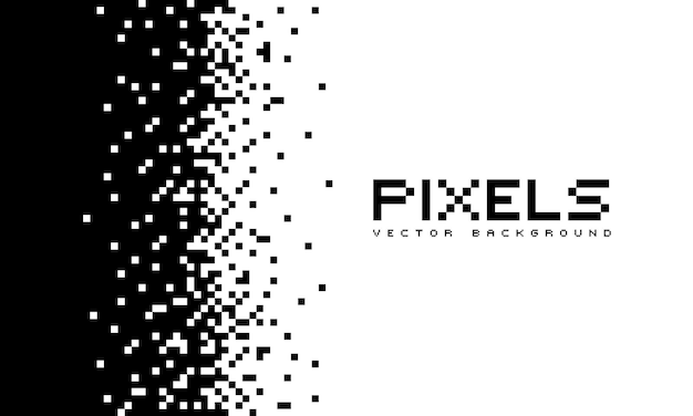 Vector illustration disintegrates or dissolves on the pixel pattern. vector concept of technology. place for text. monochrome style. isolated background.
