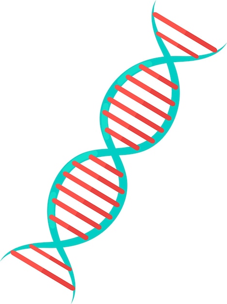 Vector illustration of dna