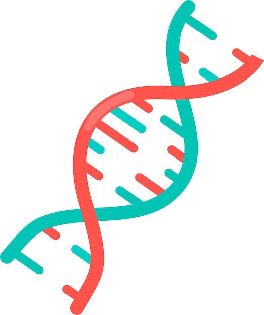 Illustration of DNA