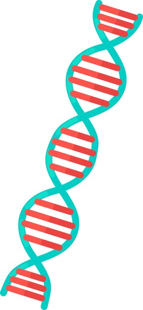 Illustration of DNA