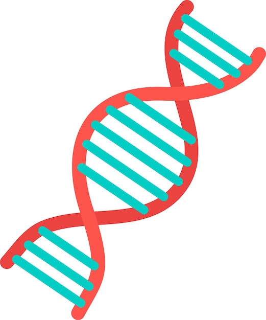 Vector illustration of dna