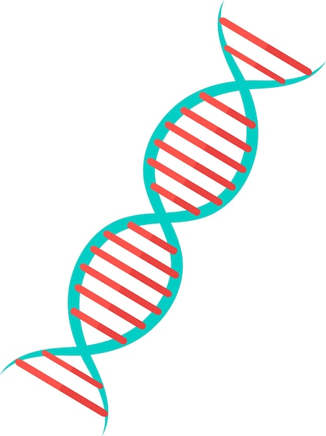 Illustration of DNA