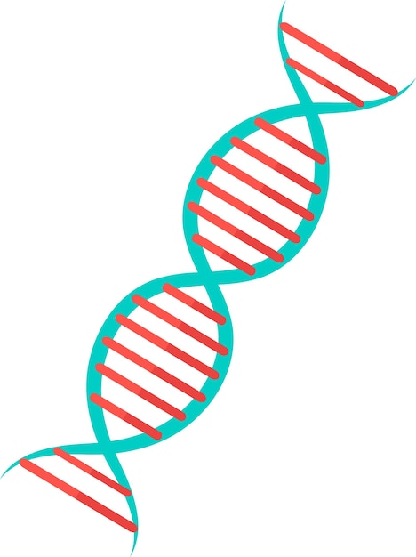 Vector illustration of dna