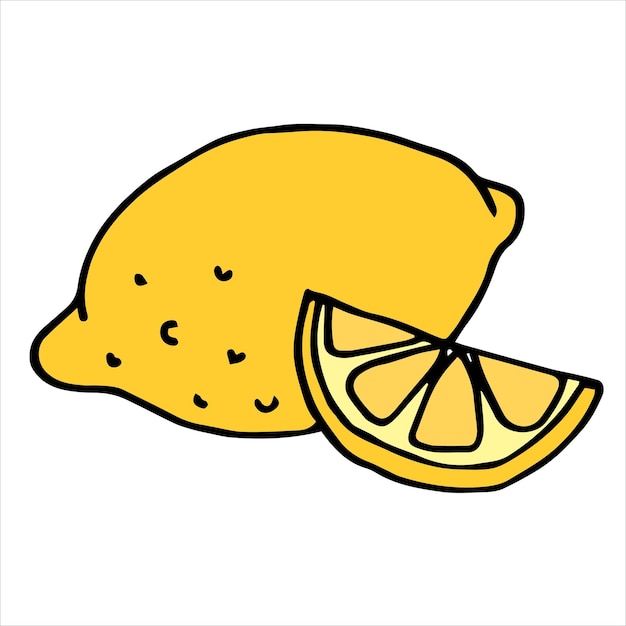 Vector illustration in doodle style cartoon simple color drawing of a lemon lemon and lemon slice