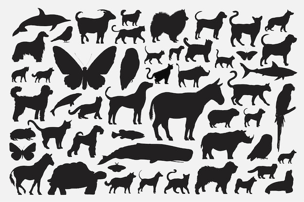 Vector illustration drawing style of animal collection