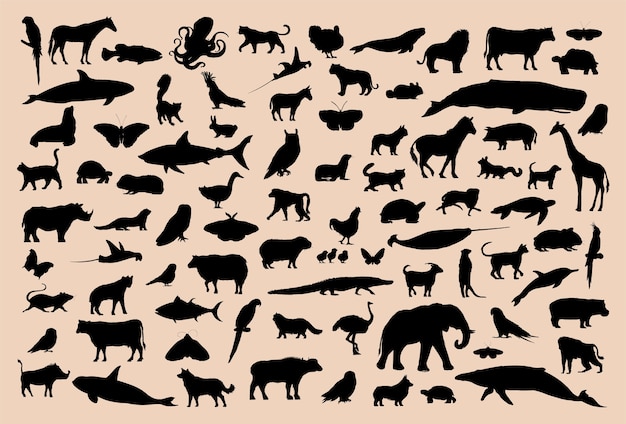 Vector illustration drawing style of animal collection