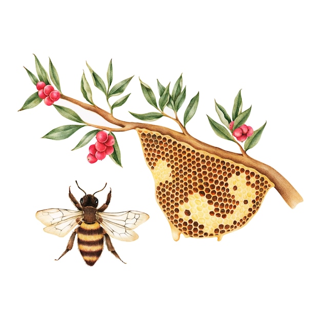 Vector illustration drawing style of bee hive