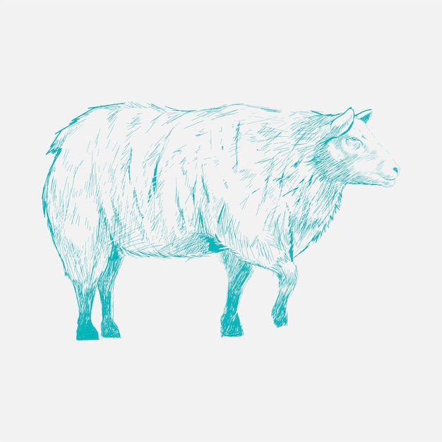 Vector illustration drawing style of buffalo