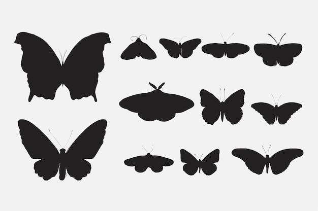 Vector illustration drawing style of butterfly collection