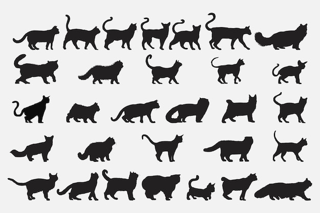 Lo stile di disegno dell'illustrazione di gatto alleva la raccolta