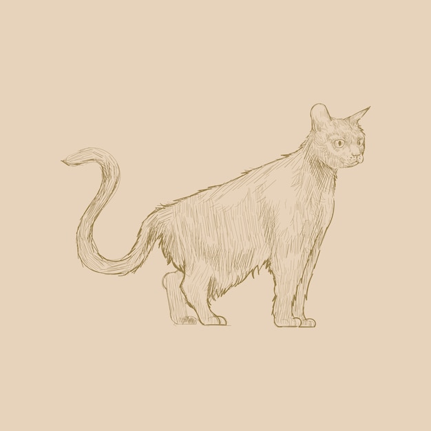 Stile di disegno dell'illustrazione del gatto