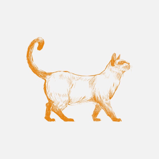 Vettore stile di disegno dell'illustrazione del gatto