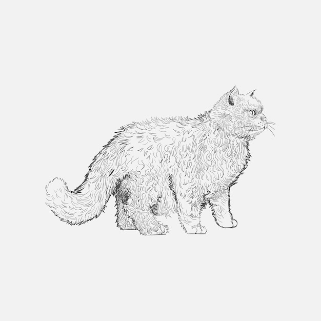 Stile di disegno dell'illustrazione del gatto