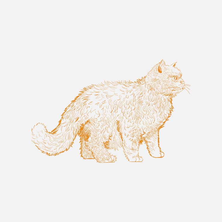Vector 猫のイラストの描画スタイル