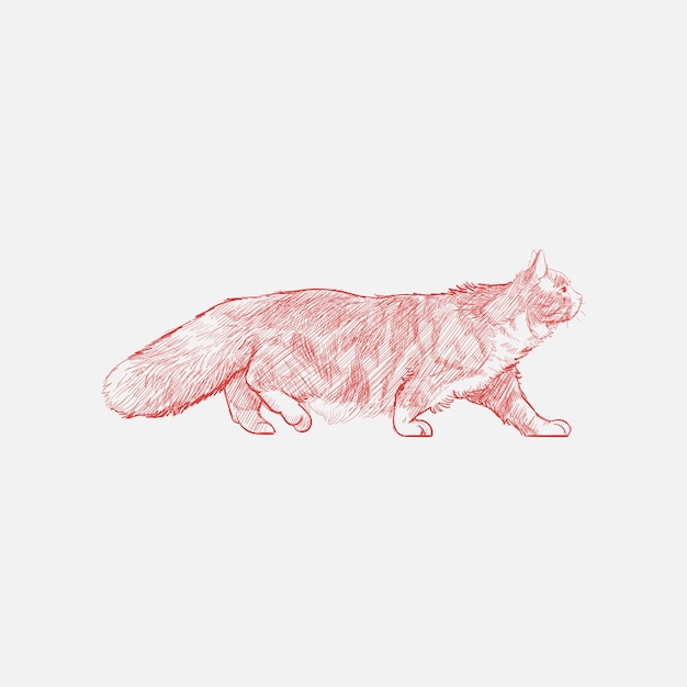 Stile di disegno dell'illustrazione del gatto