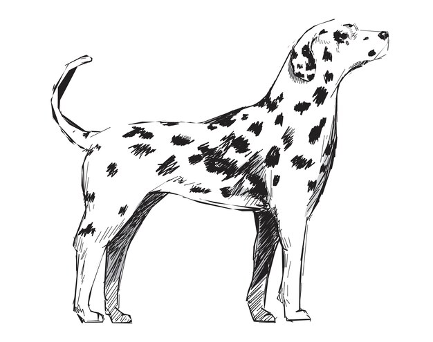 Illustration drawing style of dog