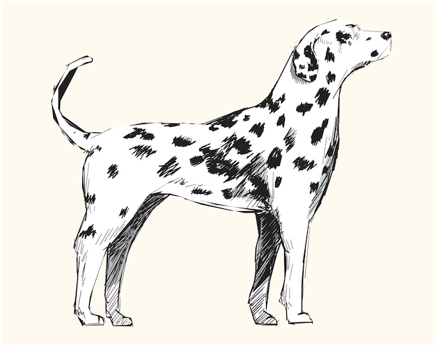 Vettore stile di disegno dell'illustrazione del cane