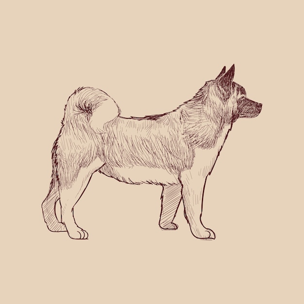 Vector illustration drawing style of dog